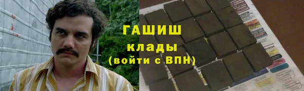 мдпв Бородино