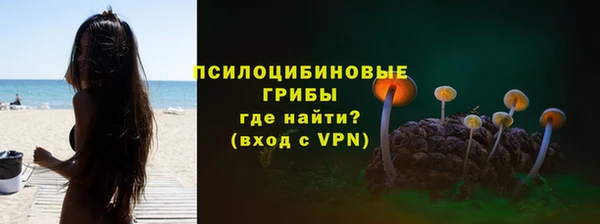 мдпв Бородино