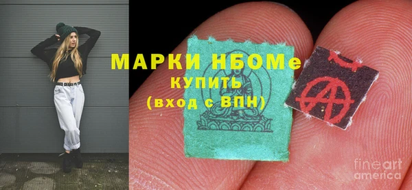 мдпв Бородино