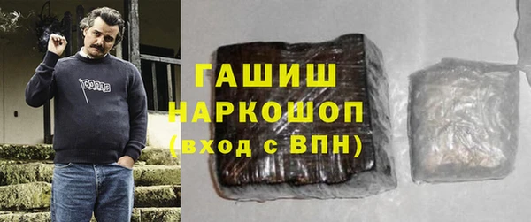 мдпв Бородино